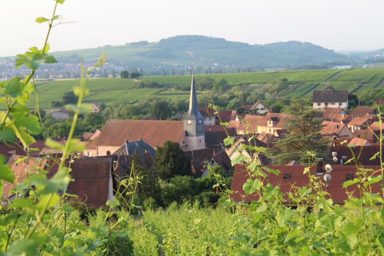 A L'Oree Des Vignes, Superbe Logement De 80 M2 Appartement Wangen Buitenkant foto