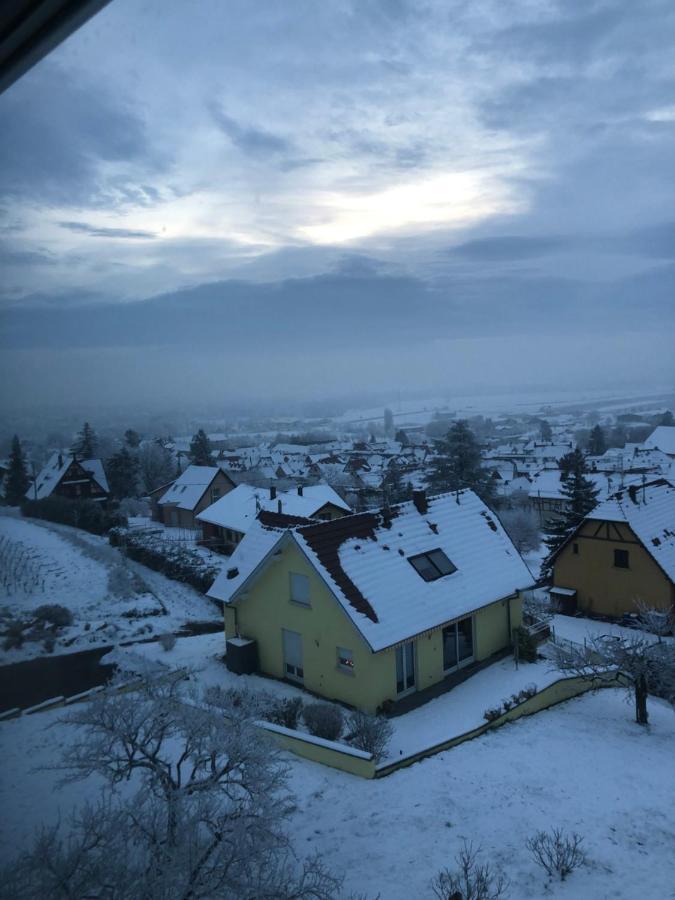 A L'Oree Des Vignes, Superbe Logement De 80 M2 Appartement Wangen Buitenkant foto